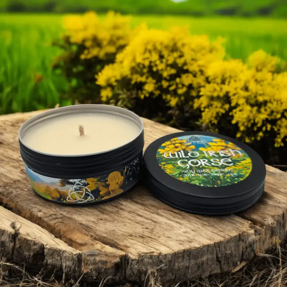 Irish Gorse with Tin candle